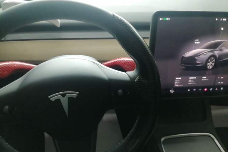 Used Tesla Model Y 2022 Revised Version Rear-Wheel Drive Gear Lever