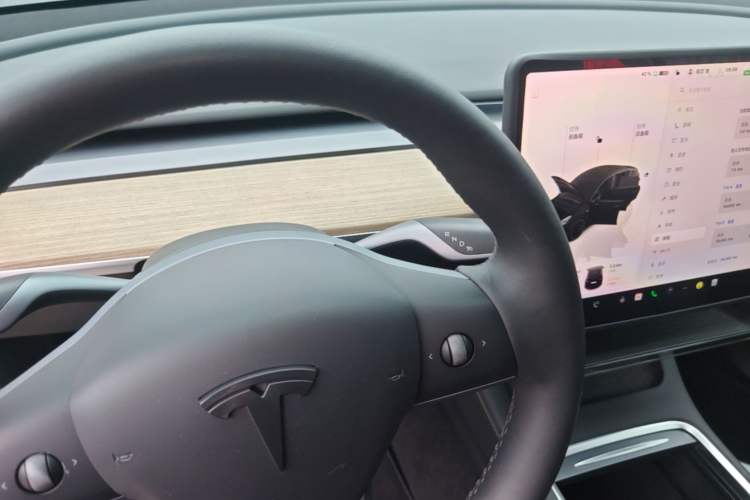 Used Tesla Model Y 2022 Revised Version Rear-Wheel Drive Gear Lever