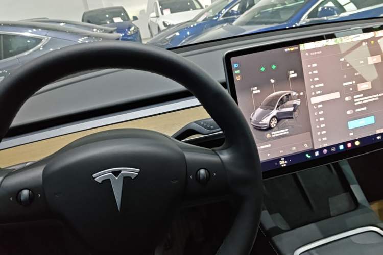 Used Tesla Model Y 2022 Revised Version Rear-Wheel Drive Gear Lever