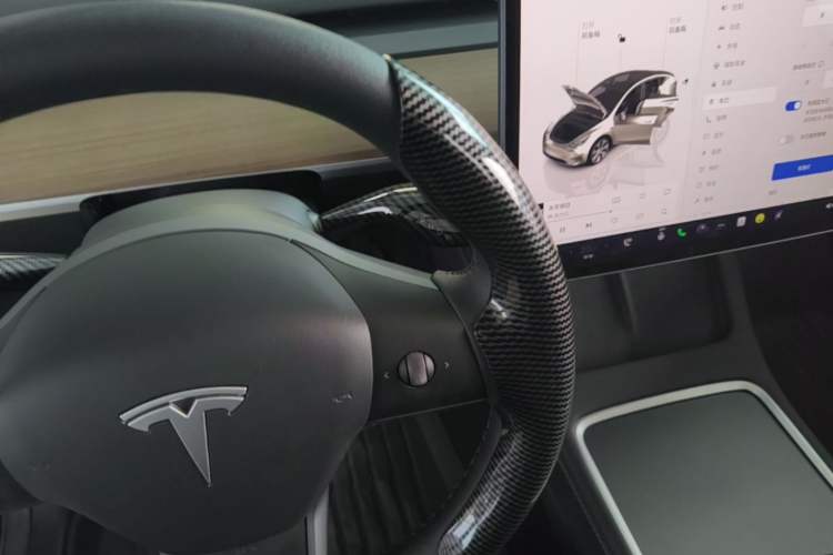 Used Tesla Model Y 2022 Rear-Wheel-Drive Version Gear Lever