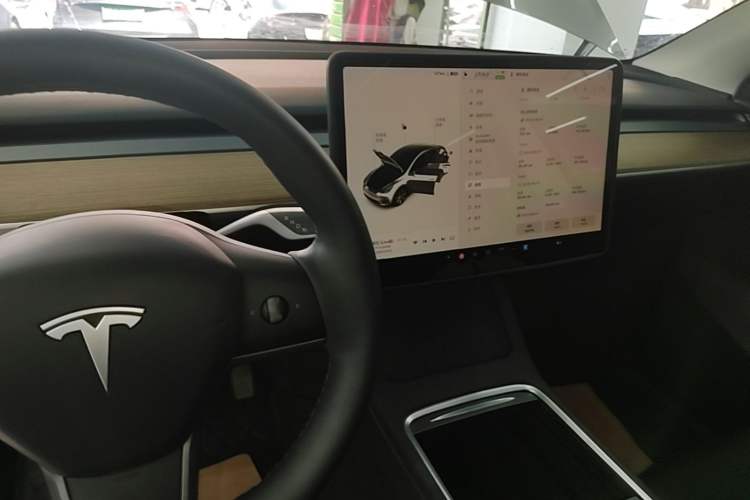 Used Tesla Model Y 2022 Revised Version Rear-Wheel Drive Gear Lever