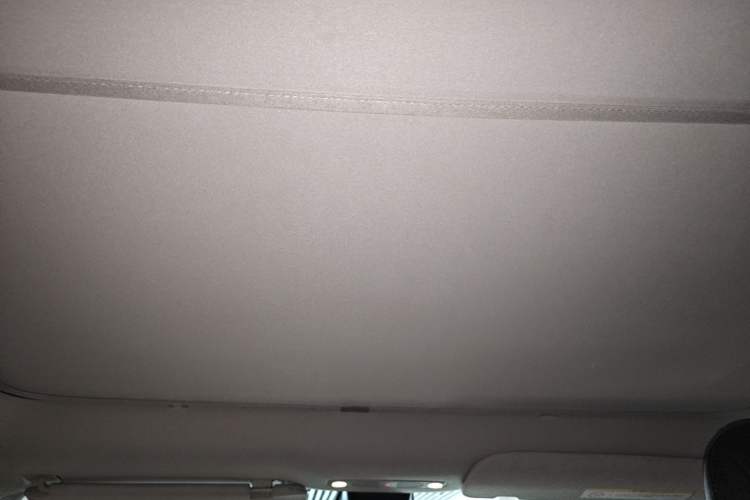 Used Tesla Model Y 2022 Rear-Wheel-Drive Version Headliner