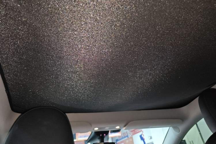 Used Tesla Model Y 2022 Revised Version Rear-Wheel Drive Headliner
