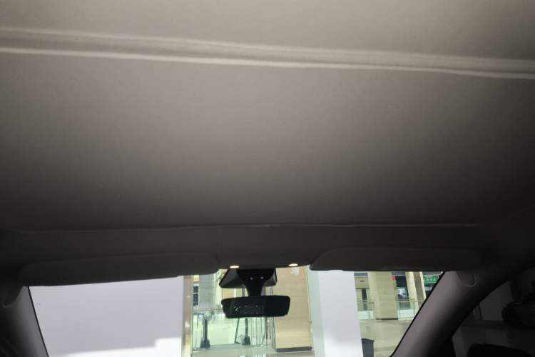 Used Tesla Model Y 2022 Rear-Wheel-Drive Version Headliner