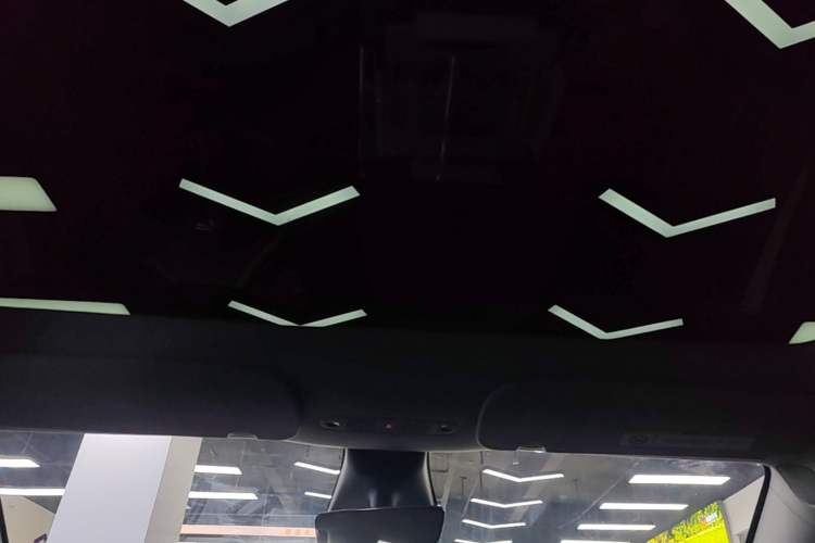 Used Tesla Model Y 2022 Rear-Wheel-Drive Version Headliner