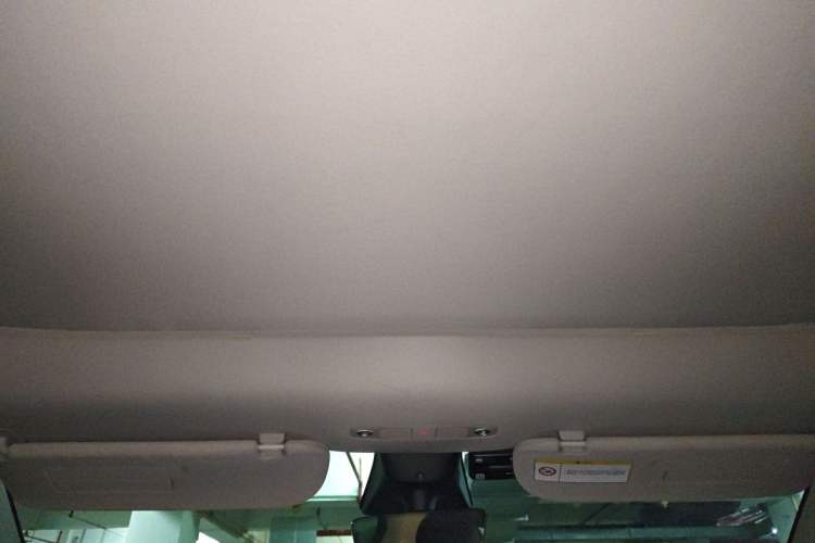 Used Tesla Model Y 2022 Rear-Wheel-Drive Version Headliner