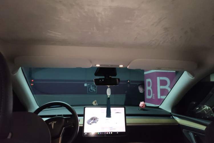 Used Tesla Model Y 2022 Rear-Wheel-Drive Version Headliner