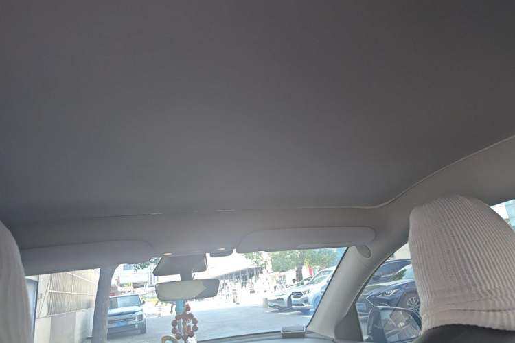 Used Tesla Model Y 2022 Rear-Wheel-Drive Version Headliner
