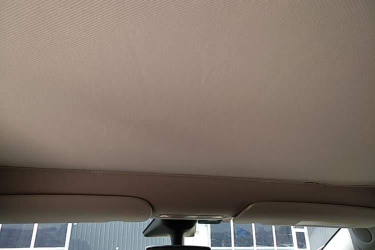 Used Tesla Model Y 2022 Revised Version Rear-Wheel Drive Headliner