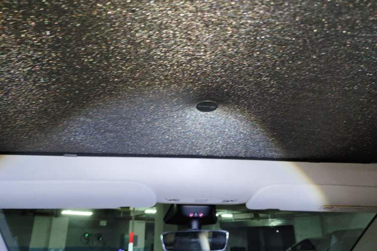 Used Tesla Model Y 2022 Rear-Wheel-Drive Version Headliner