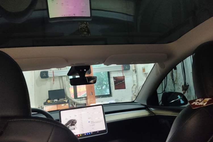 Used Tesla Model Y 2022 Rear-Wheel-Drive Version Headliner