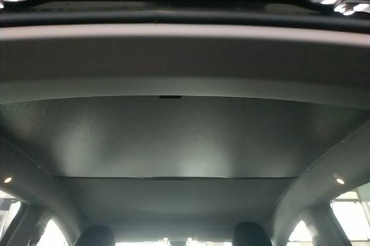 Used Tesla Model Y 2022 Performance High-Performance All-Wheel-Drive Version Headliner