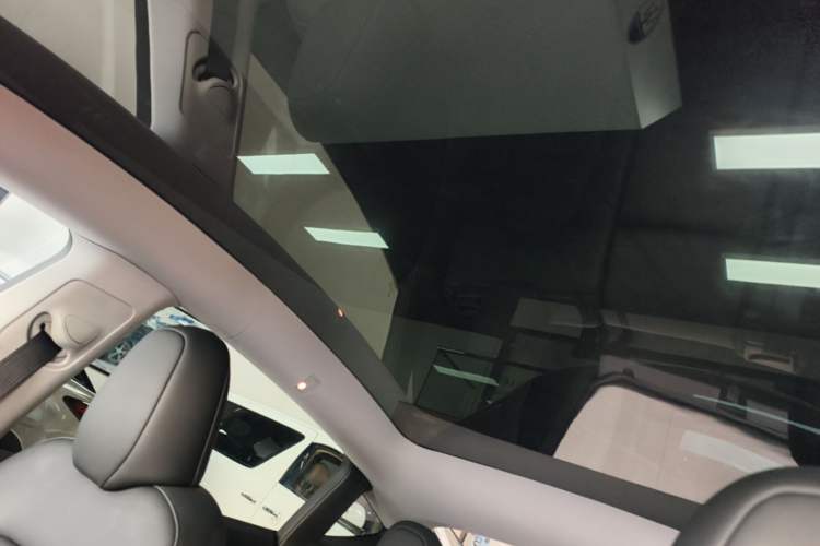Used Tesla Model Y 2022 Performance High-Performance All-Wheel-Drive Version Headliner