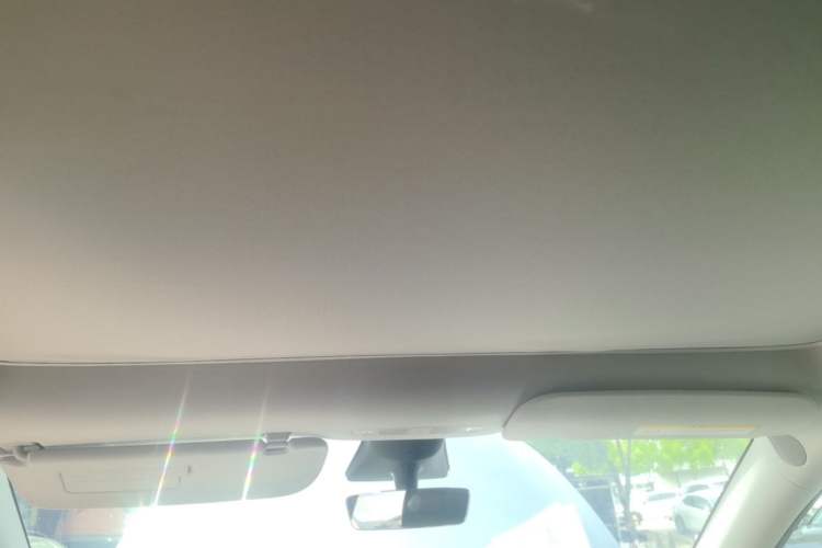 Used Tesla Model Y 2022 Rear-Wheel-Drive Version Headliner