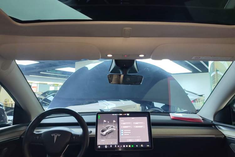 Used Tesla Model Y 2022 Long-Range All-Wheel-Drive Version Headliner