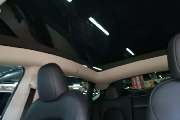 Used Tesla Model Y 2022 Rear-Wheel-Drive Version Headliner