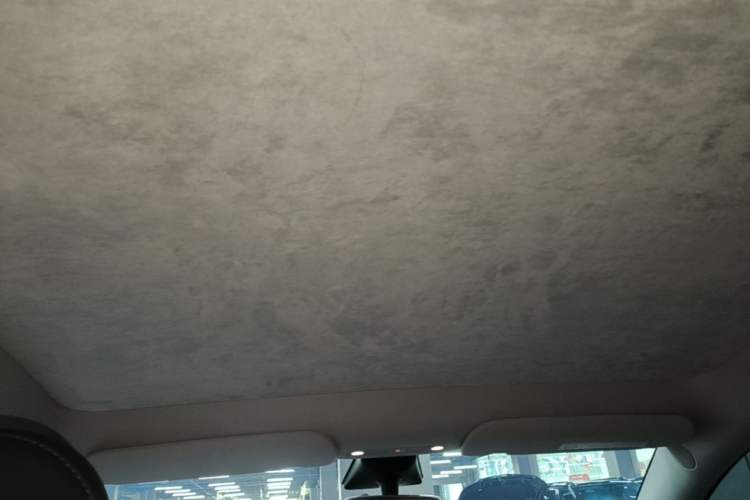 Used Tesla Model Y 2022 Performance High-Performance All-Wheel-Drive Version Headliner