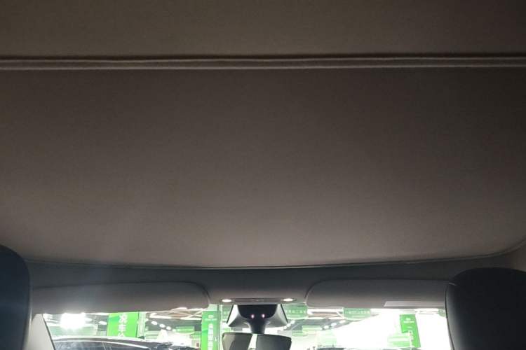 Used Tesla Model Y 2022 Long-Range All-Wheel-Drive Version Headliner