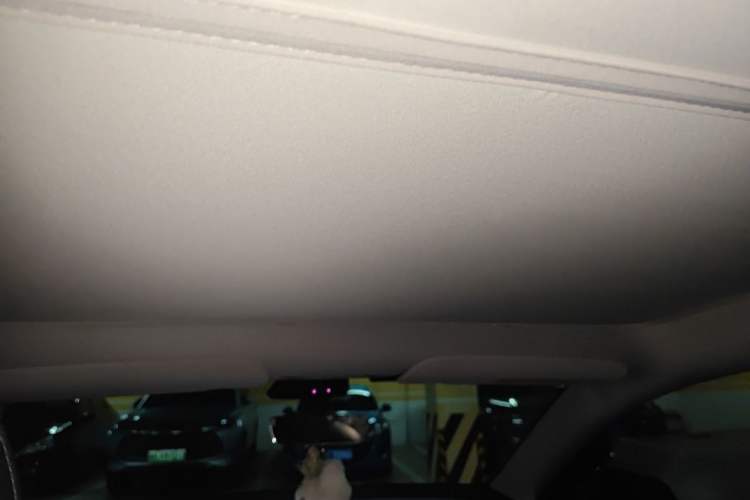 Used Tesla Model Y 2022 Rear-Wheel-Drive Version Headliner