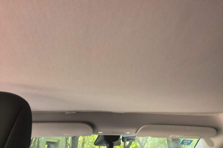 Used Tesla Model Y 2022 Rear-Wheel-Drive Version Headliner