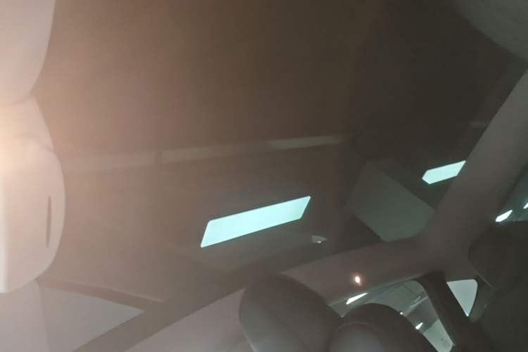 Used Tesla Model Y 2022 Rear-Wheel-Drive Version Headliner