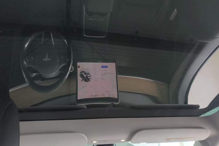 Used Tesla Model Y 2022 Rear-Wheel-Drive Version Headliner