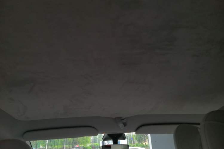 Used Tesla Model Y 2022 Revised Version Rear-Wheel Drive Headliner