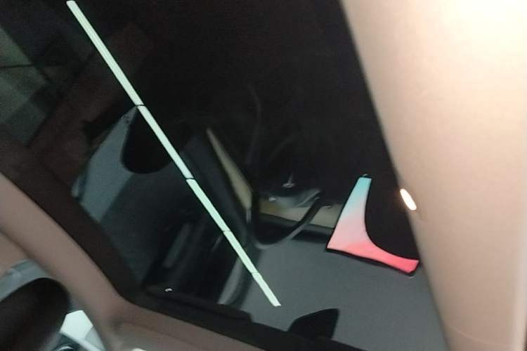 Used Tesla Model Y 2022 Revised Version Rear-Wheel Drive Headliner