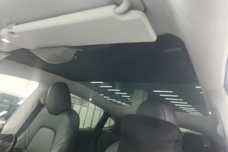 Used Tesla Model Y 2022 Long-Range All-Wheel-Drive Version Headliner