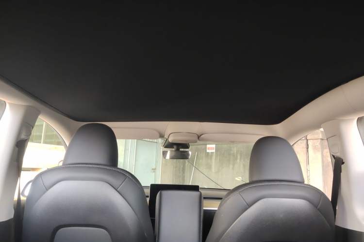 Used Tesla Model Y 2022 Performance High-Performance All-Wheel-Drive Version Headliner