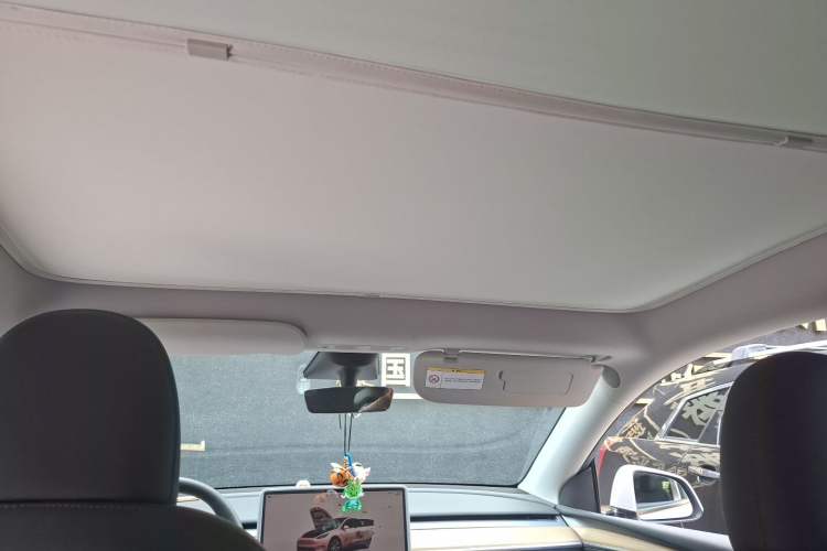 Used Tesla Model Y 2022 Revised Version Rear-Wheel Drive Headliner