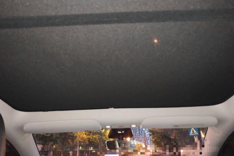 Used Tesla Model Y 2022 Revised Version Rear-Wheel Drive Headliner