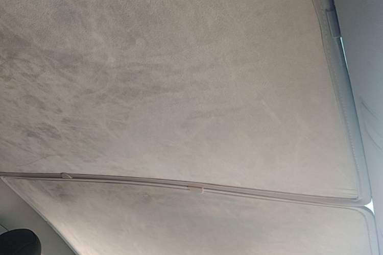 Used Tesla Model Y 2022 Long-Range All-Wheel-Drive Version Headliner