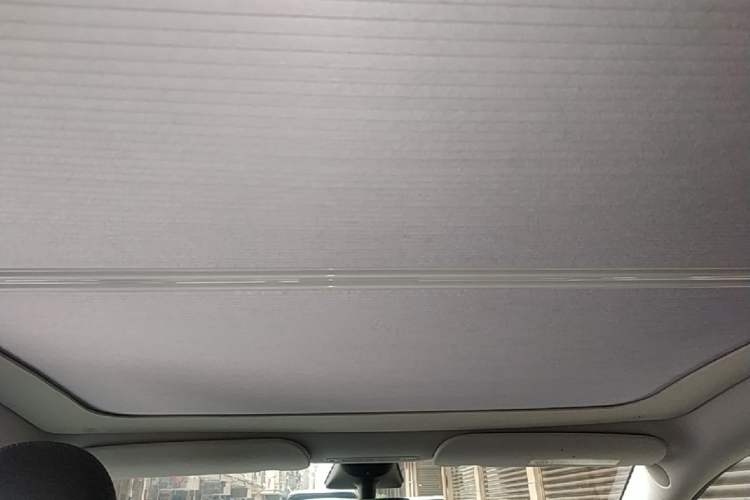Used Tesla Model Y 2022 Rear-Wheel-Drive Version Headliner