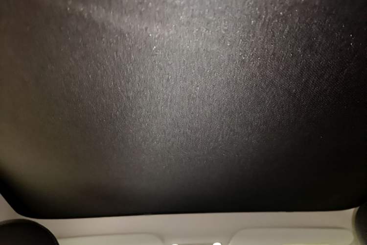 Used Tesla Model Y 2022 Rear-Wheel-Drive Version Headliner