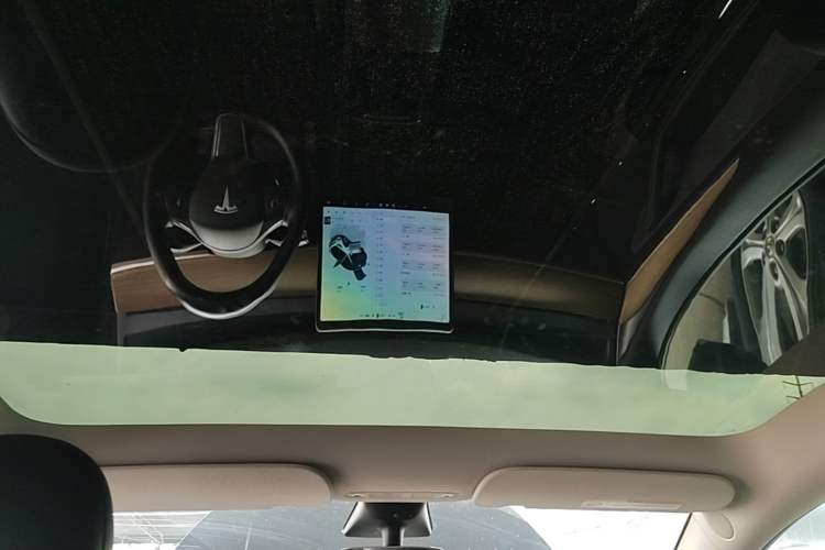 Used Tesla Model Y 2022 Rear-Wheel-Drive Version Headliner