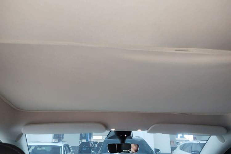 Used Tesla Model Y 2022 Revised Version Rear-Wheel Drive Headliner