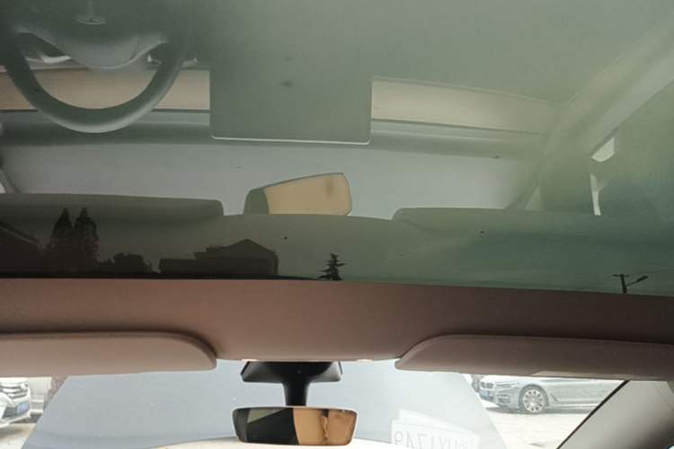 Used Tesla Model Y 2022 Rear-Wheel-Drive Version Headliner