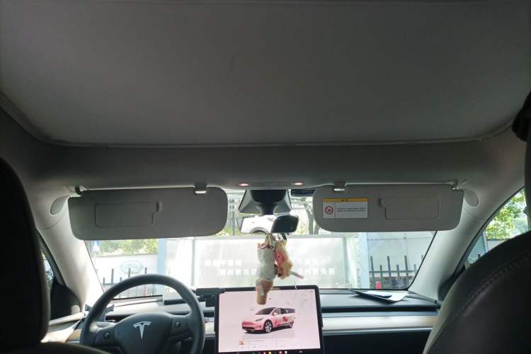 Used Tesla Model Y 2022 Rear-Wheel-Drive Version Headliner