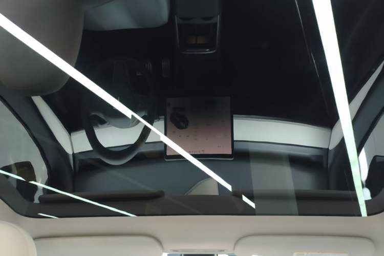 Used Tesla Model Y 2022 Performance High-Performance All-Wheel-Drive Version Headliner