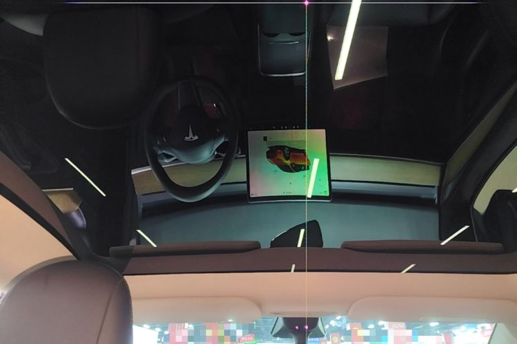 Used Tesla Model Y 2022 Rear-Wheel-Drive Version Headliner