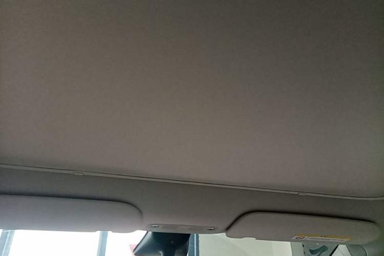 Used Tesla Model Y 2022 Rear-Wheel-Drive Version Headliner