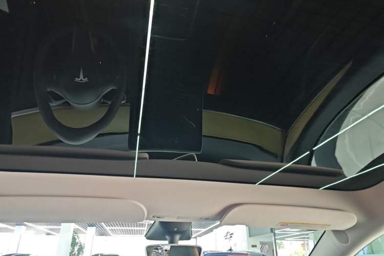 Used Tesla Model Y 2022 Revised Version Rear-Wheel Drive Headliner