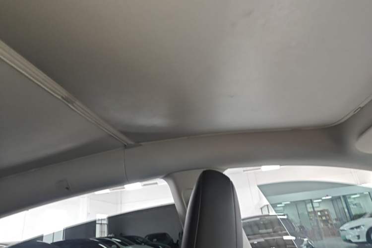 Used Tesla Model Y 2022 Revised Version Rear-Wheel Drive Headliner