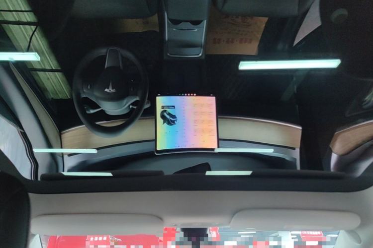 Used Tesla Model Y 2022 Rear-Wheel-Drive Version Headliner