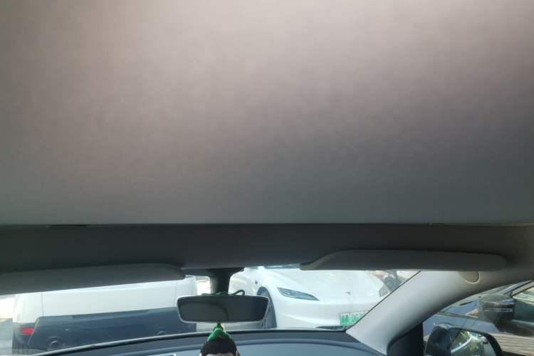 Used Tesla Model Y 2022 Revised Version Rear-Wheel Drive Headliner