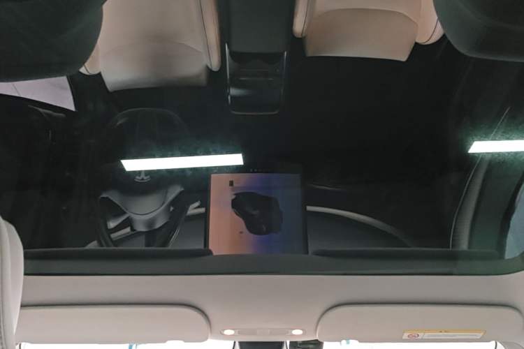 Used Tesla Model Y 2022 Performance High-Performance All-Wheel-Drive Version Headliner