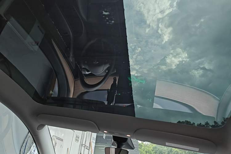 Used Tesla Model Y 2022 Long-Range All-Wheel-Drive Version Headliner