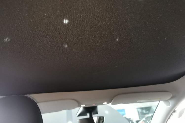 Used Tesla Model Y 2022 Rear-Wheel-Drive Version Headliner