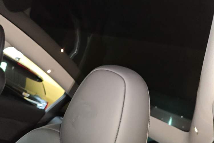 Used Tesla Model Y 2022 Performance High-Performance All-Wheel-Drive Version Headliner